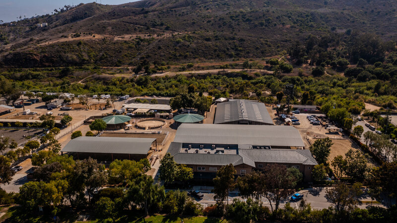 Shea Center Plug Image-1