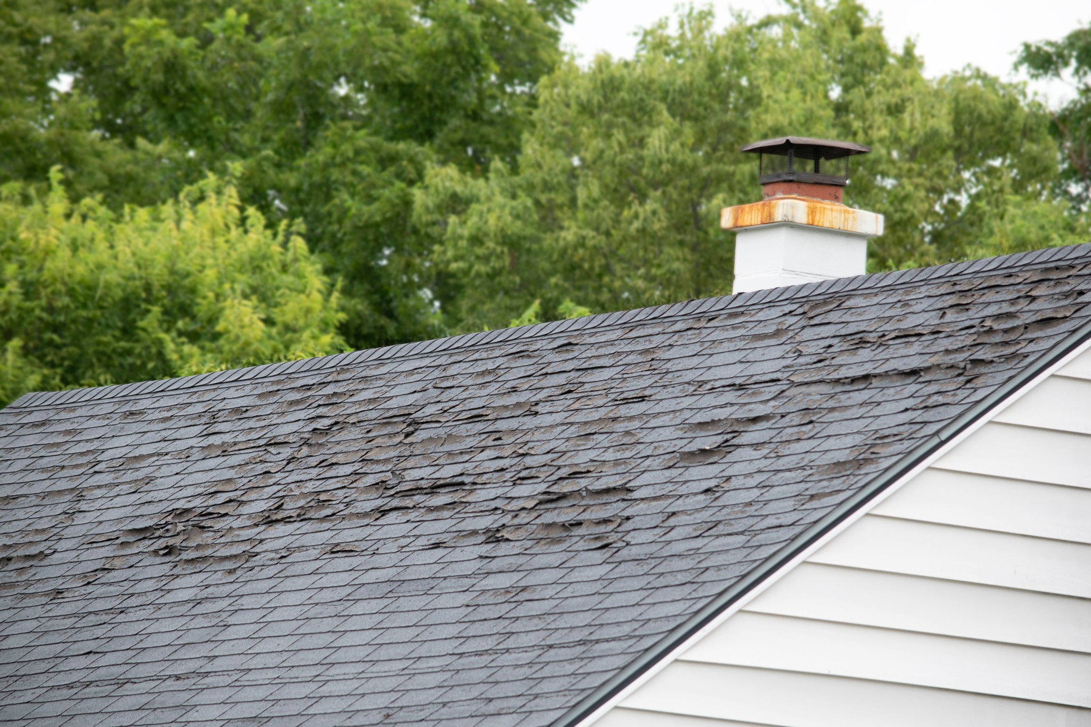 Worn Roof - Is it Time to Replace Your Roof