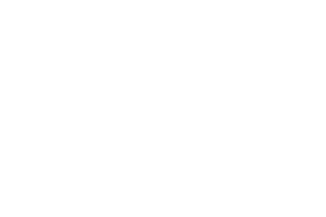 McElroy Logo Footer