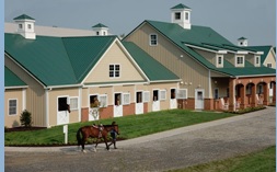 Max-rib evergreen horse barn roof